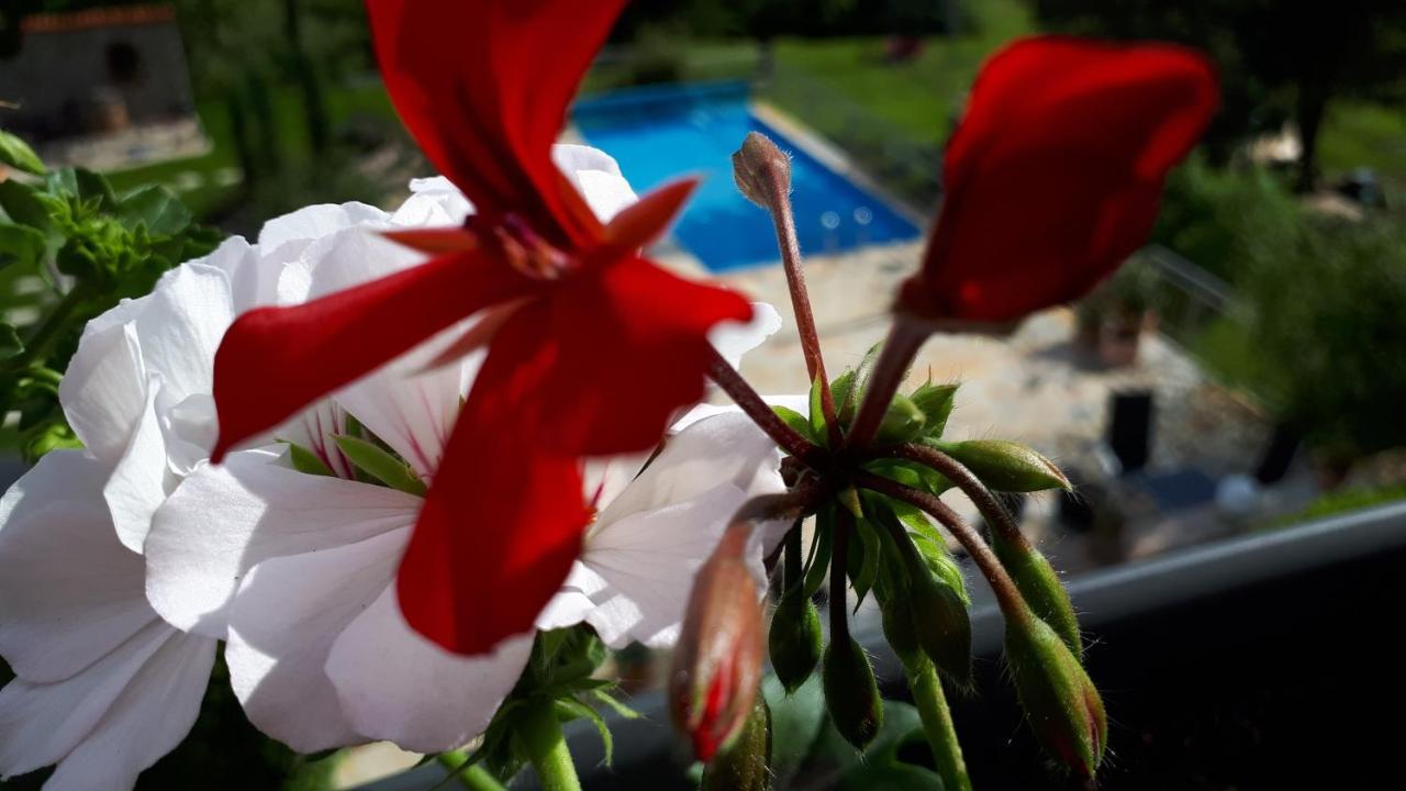 Pension Am Weinberg Bed & Breakfast Mainstockheim Екстериор снимка