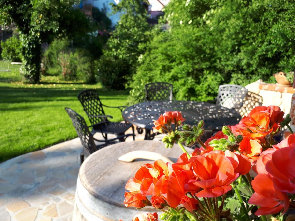 Pension Am Weinberg Bed & Breakfast Mainstockheim Екстериор снимка