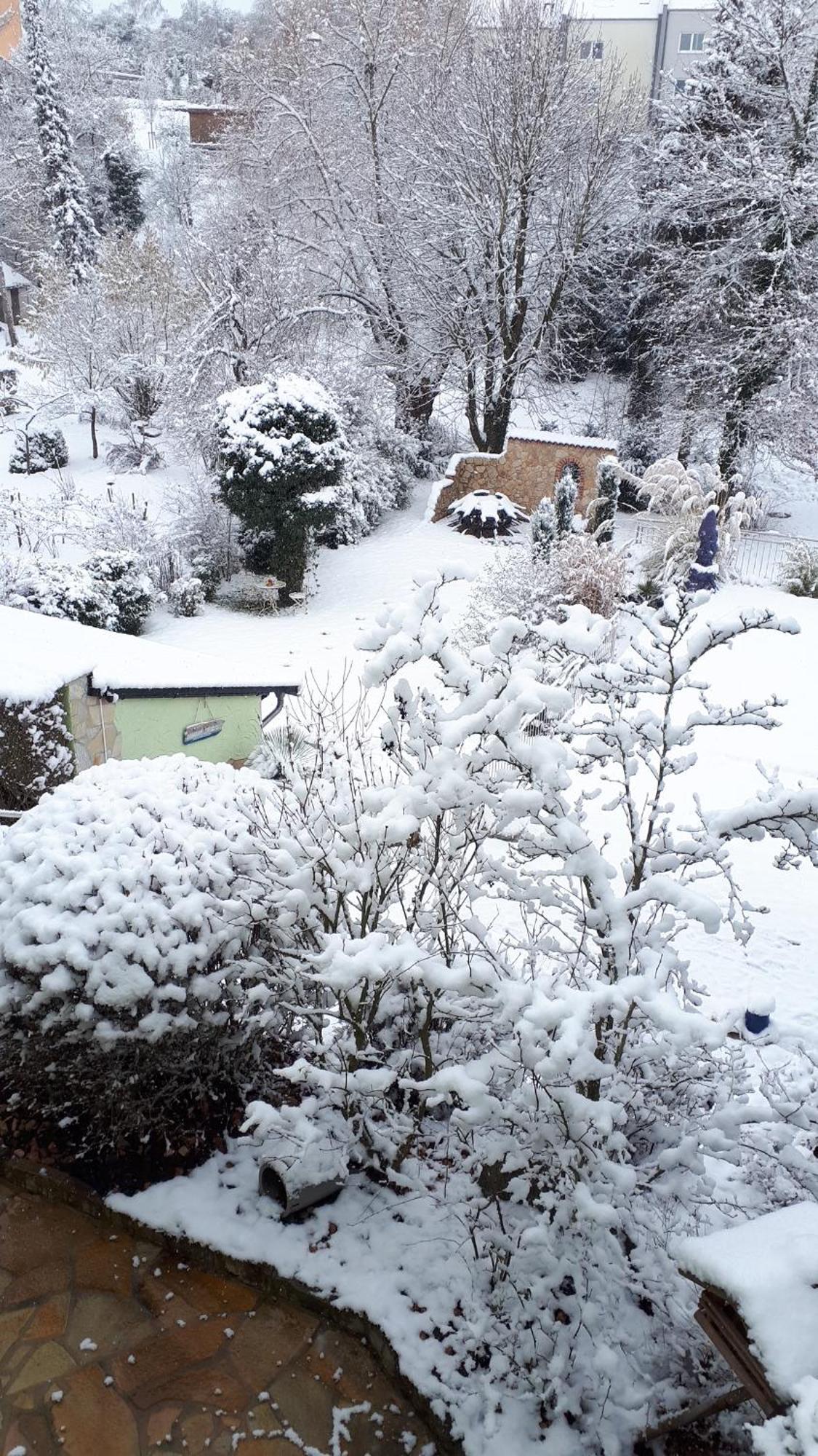 Pension Am Weinberg Bed & Breakfast Mainstockheim Екстериор снимка