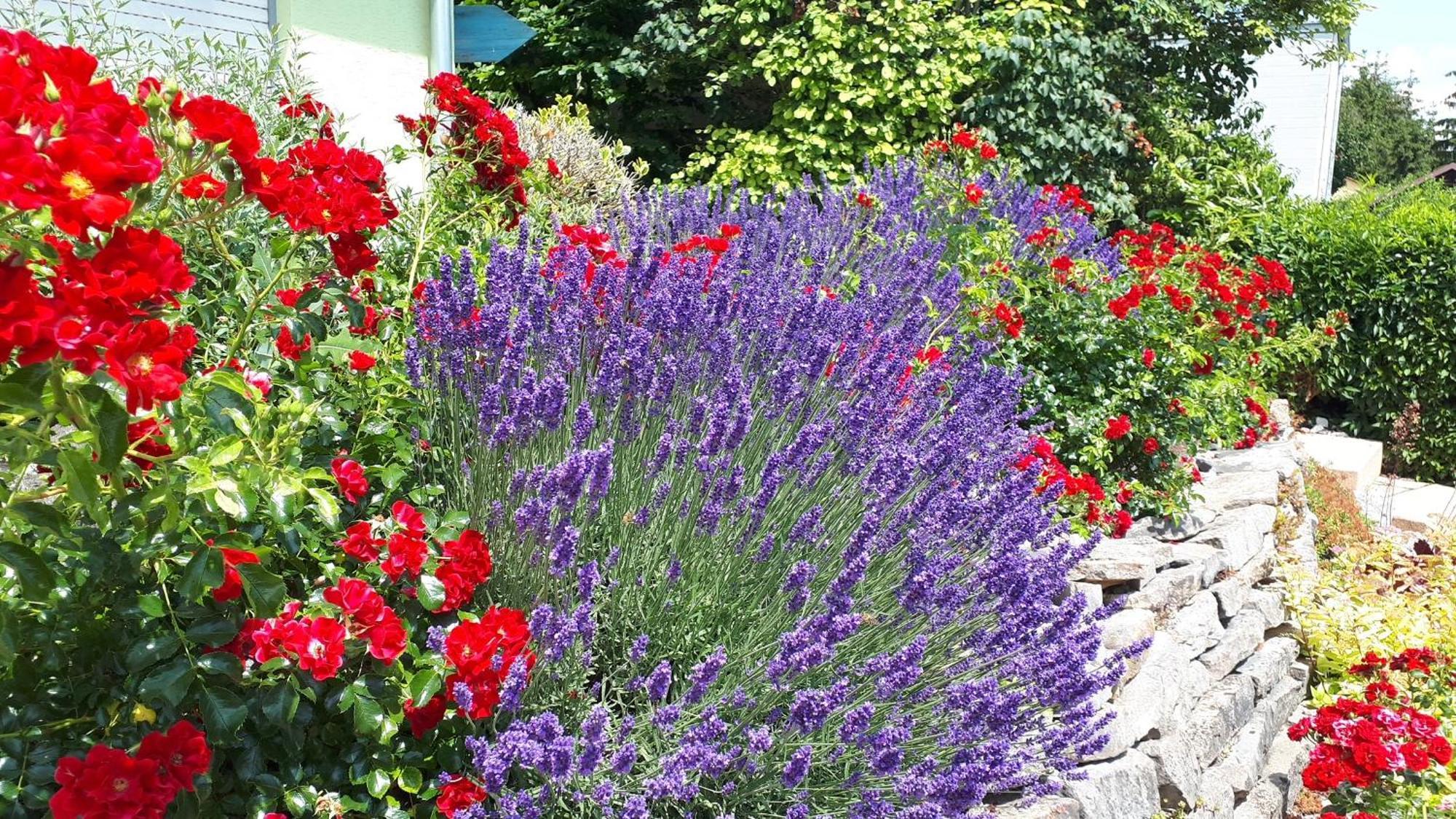 Pension Am Weinberg Bed & Breakfast Mainstockheim Екстериор снимка