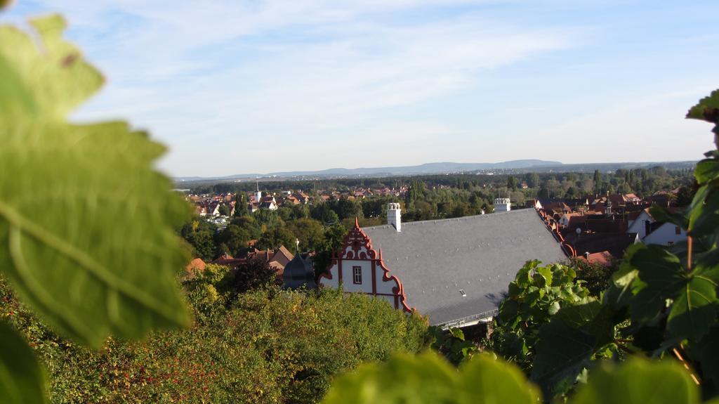 Pension Am Weinberg Bed & Breakfast Mainstockheim Екстериор снимка